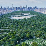 Intern to Make Central Park More Beautiful (Mandarin)