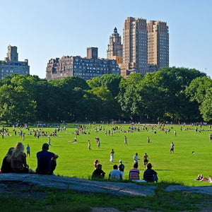 Intern to Make Central Park More Beautiful