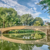 Intern to Make Central Park More Beautiful