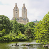 Intern to Make Central Park More Beautiful (Japanese and Korean)