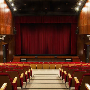 Theatre Assistant