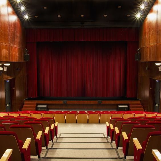 Theatre Assistant