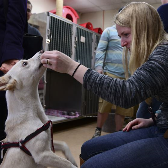 Feeding Volunteer